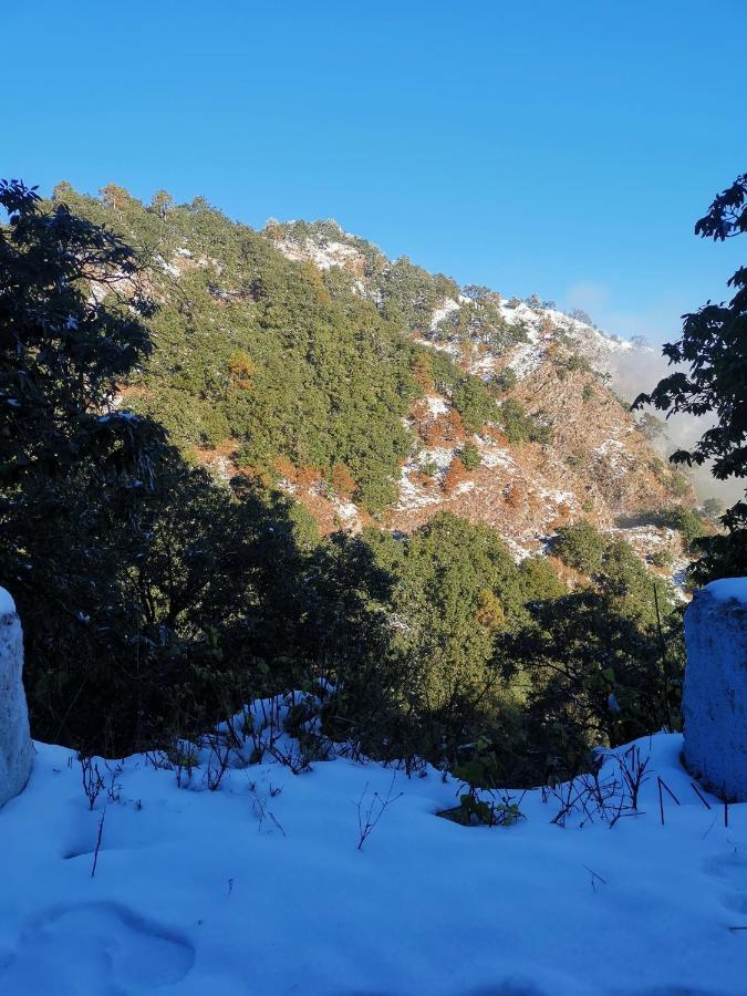 Villa By Mountain Homes- 兰斯顿 外观 照片