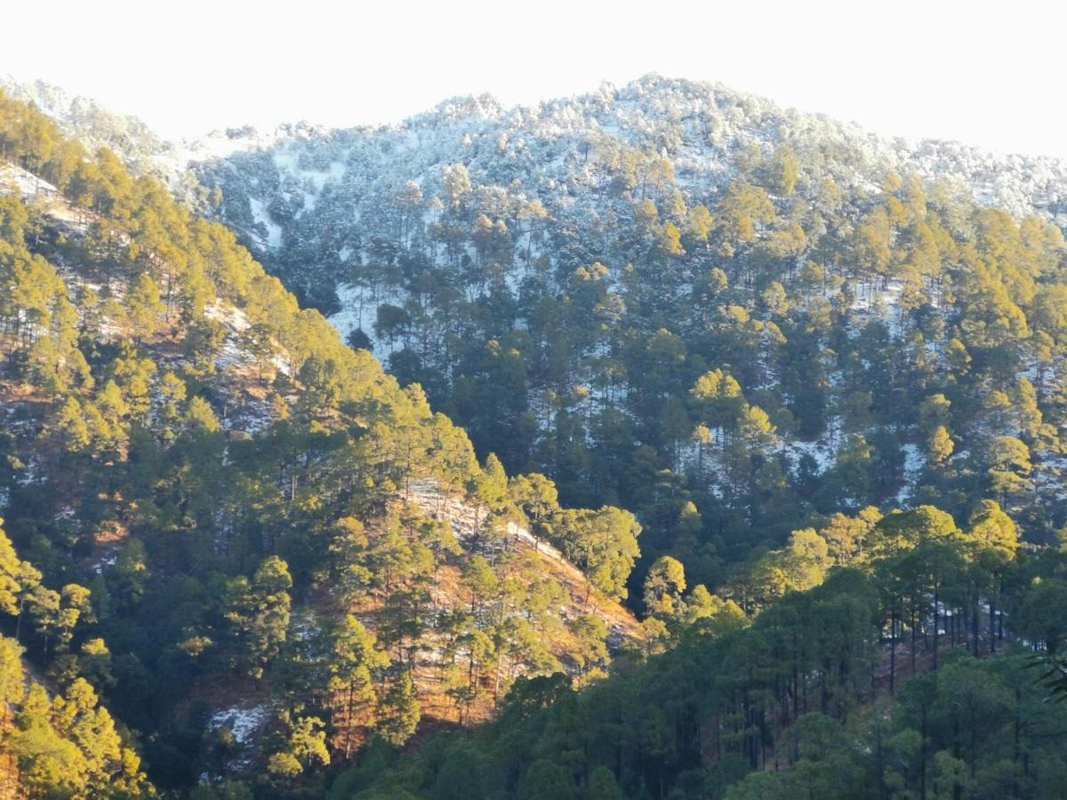 Villa By Mountain Homes- 兰斯顿 外观 照片